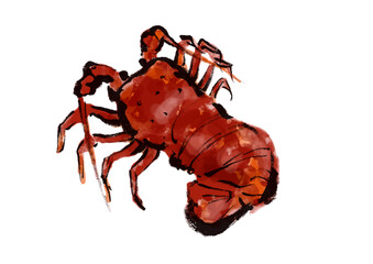 伊勢海老の手描き和風イラスト