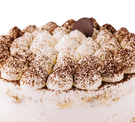 homemade tiramisu cake sprinkled with cocoa powder