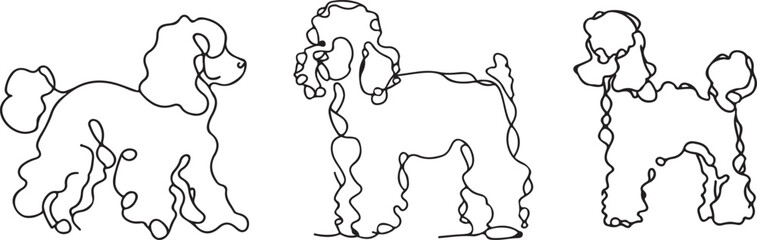 Poodle Line art vector silhoutte 