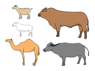 illustration set of animals for holiday sacrifice. Cow goats, sheep and camels