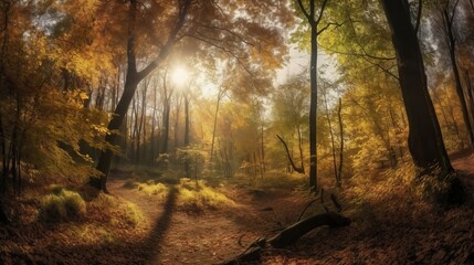Naklejka premium Dazzling scene of an assemble time woodland with sunrays entering through the branches. AI Generated