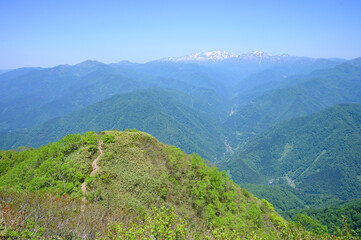 Fototapeta premium 荒島岳から望む白山