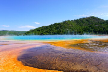 Yellowstone 