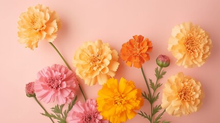 Spring marigold makes on pink pastel establishment beat see in level lay organize. AI Generated