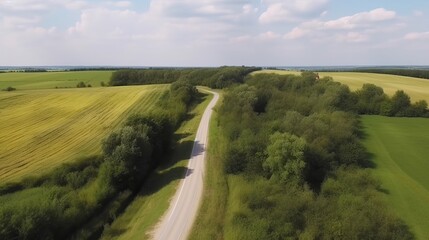 Wind airborne see - primitive street in summer. AI Generated