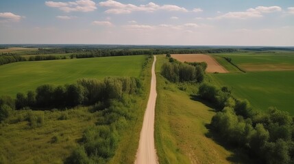 Wind airborne see - primitive road in summer. AI Generated