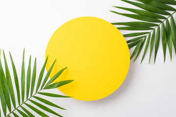Above top view photo of empty yellow circle for advertising or branding surrounded with green palm leaves isolated on white background - obrazy, fototapety, plakaty