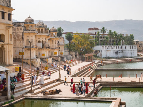 Pushkar life