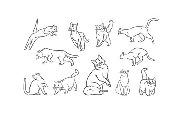 Hand drawn vector abstract graphic line art collection set with adorable cute cartoon cats character.Vector illustration of funny cartoon outline cat in trendy line style. Drawing line art cats icons. - 600091370