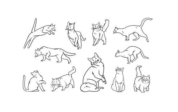 Hand drawn vector abstract graphic line art collection set with adorable cute cartoon cats character.Vector illustration of funny cartoon outline cat in trendy line style. Drawing line art cats icons.