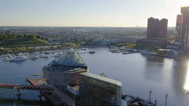 Aerial Shot Of Boats Moored At Harbor By Buildings Against Sky In City - Baltimore, Maryland