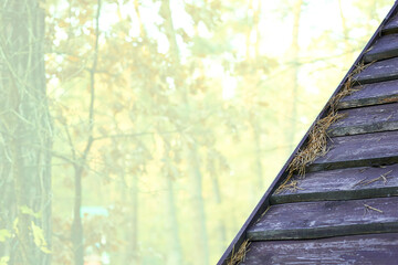 Part of a wooden rural roof and a yellow pale forest background for text