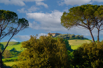 Fototapeta premium paesaggio toscano