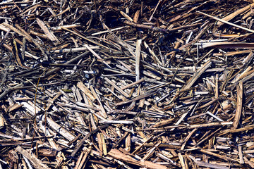 Background from the debris of fallen dry reeds with a brown hue
