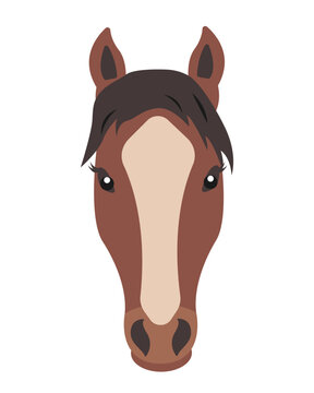 Brown Horse face. Farm domestic animal head icon isolated on white background. Vector flat or cartoon illustration.