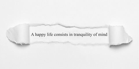 A happy life consists in tranquility of mind	