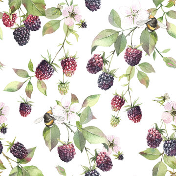 Blackberries watercolor hand drawn botanical illustration. Seamless pattern on white