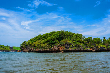 Fototapeta premium Exploring Forest on the rock in Tanjung Kasap or Cape Kasap, Pacitan, Indonesia.