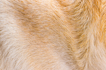 Brown fur texture background close up abstract