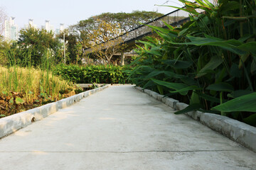 Empty concrete walkway outdoor in the forest park.