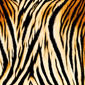 Tigermuster