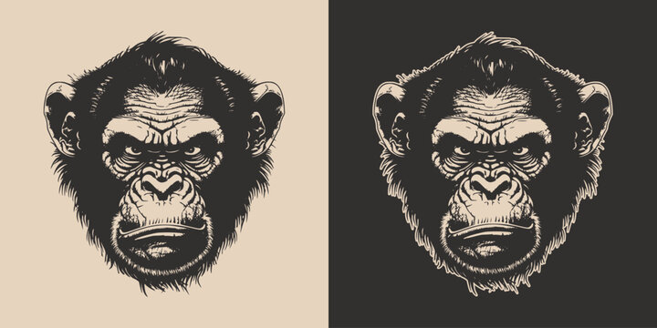 Set of vintage retro angry monkeys. Can be used for logo, emblem, poster, dadge design. Monochrome Graphic Art. Engraving style