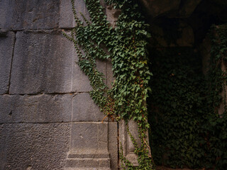 Autumn walk by Termessos Ancient City, Turkey. Turkeys most outstanding archaeological sites and one of main tourist center.