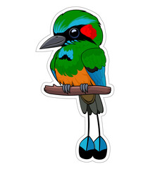 Cute Vector cartoon browed motmot bird sticker