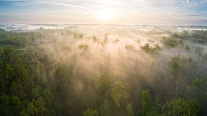 Obraz na płótnie Canvas Aerial view of the upper Rhine plain as the rising sun moves through the foggy forest