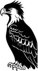 eagle vector illustration eagle head Silhouette vector illustration of a hawk black and white