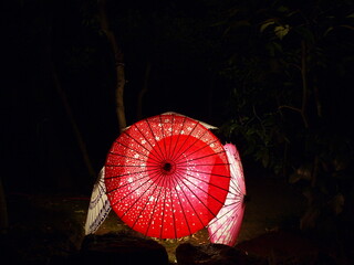 ４方に向けられた和傘