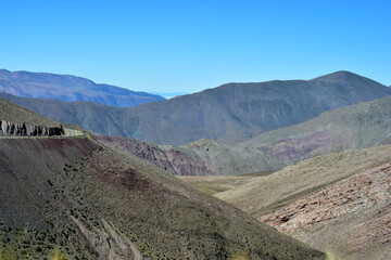 naturaleza, con textura, f&aacute;brica, gemas, acu&aacute;tico, muro, dechado, campa, huerta, hiedra, hojas, abstracta, arena, hojas, c&eacute;sped, verano, playa