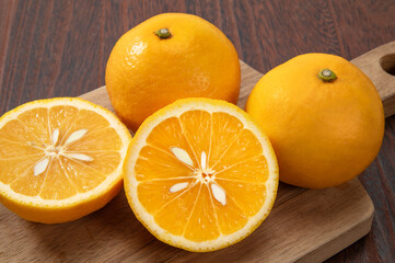 ニューサマーオレンジ