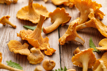 Fresh chanterelle mushrooms on a wooden table, focus on the mushroom inside
