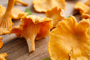 Fresh chanterelle mushrooms on a wooden table, focus on the mushroom inside