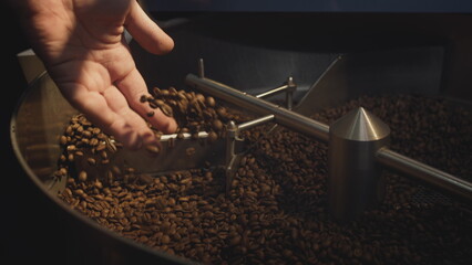 A professional industrial roaster rotates organic coffee beans. The barista takes the hot aromatic...