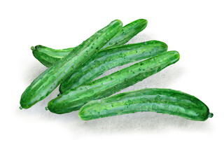 An image of cucumbers, digitally generated from a watercolor painting