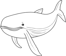 Fototapeta na wymiar Whale vector illustration. Sea animal coloring book or page for children