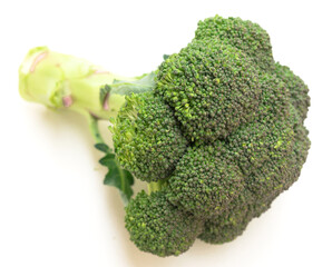 fresh broccoli and florets on white background