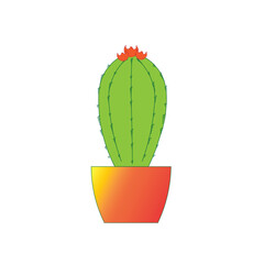 cactus in a red pot