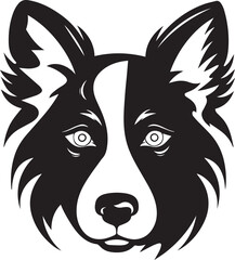 Fototapeta premium Dog head logo, Border collie face logo isolated on a white background, SVG, Vector, Illustration. 