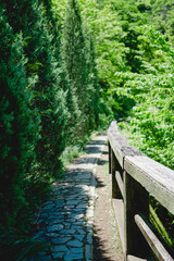 Fototapeta premium 熱海の庭園の風景