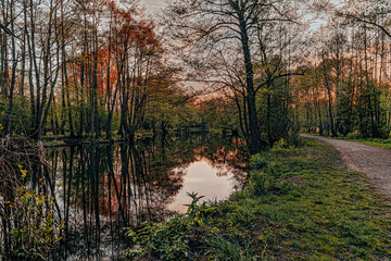 Spring sunset rural landscape, forest reflected in the lake
