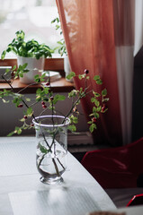 Rosehip branches in a glass vase on the table.