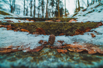 stairs in the park at winter
