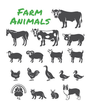 Domestic farm animals solid silhouette illustrations. Simple outline elements of large and small cattle, fowl, horse, pig, turkey, rabbit, other pets. Clip art of livestock, male and female species