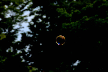 キラキラなシャボン玉