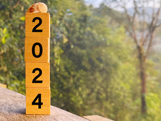2024 text on wooden blocks background. New year concept.