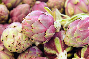 Obraz premium Fresh purple artichoke close up. Organic healthy food.