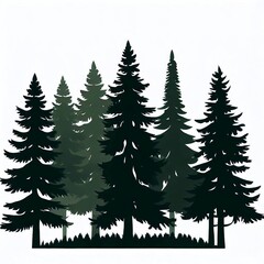 Silhouettes of evergreen pine trees, commonly found in fir forests